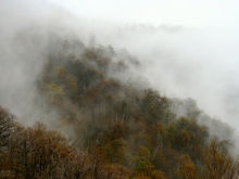 Morning Mist, Virginia Highlands