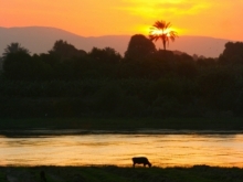 The Nile at Sunset